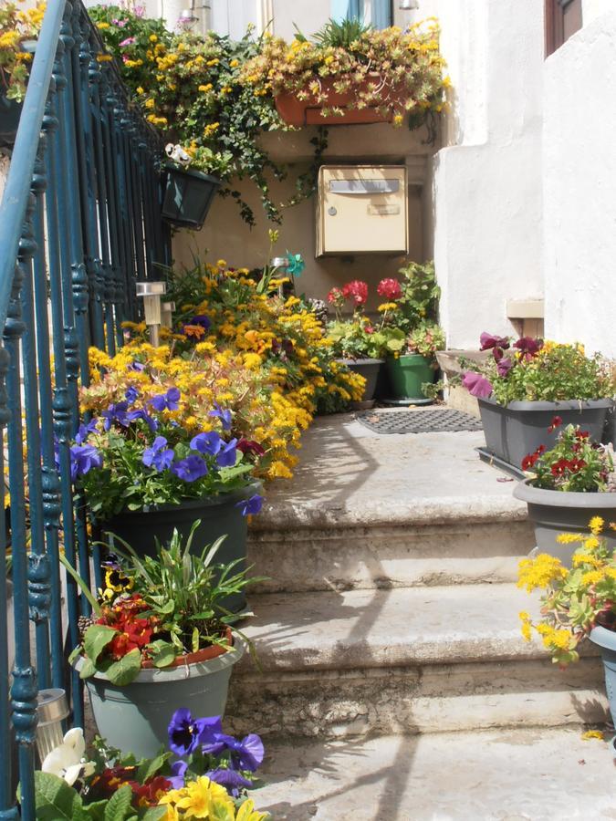 Bed and Breakfast L'Orchidee Ginestas Exterior foto